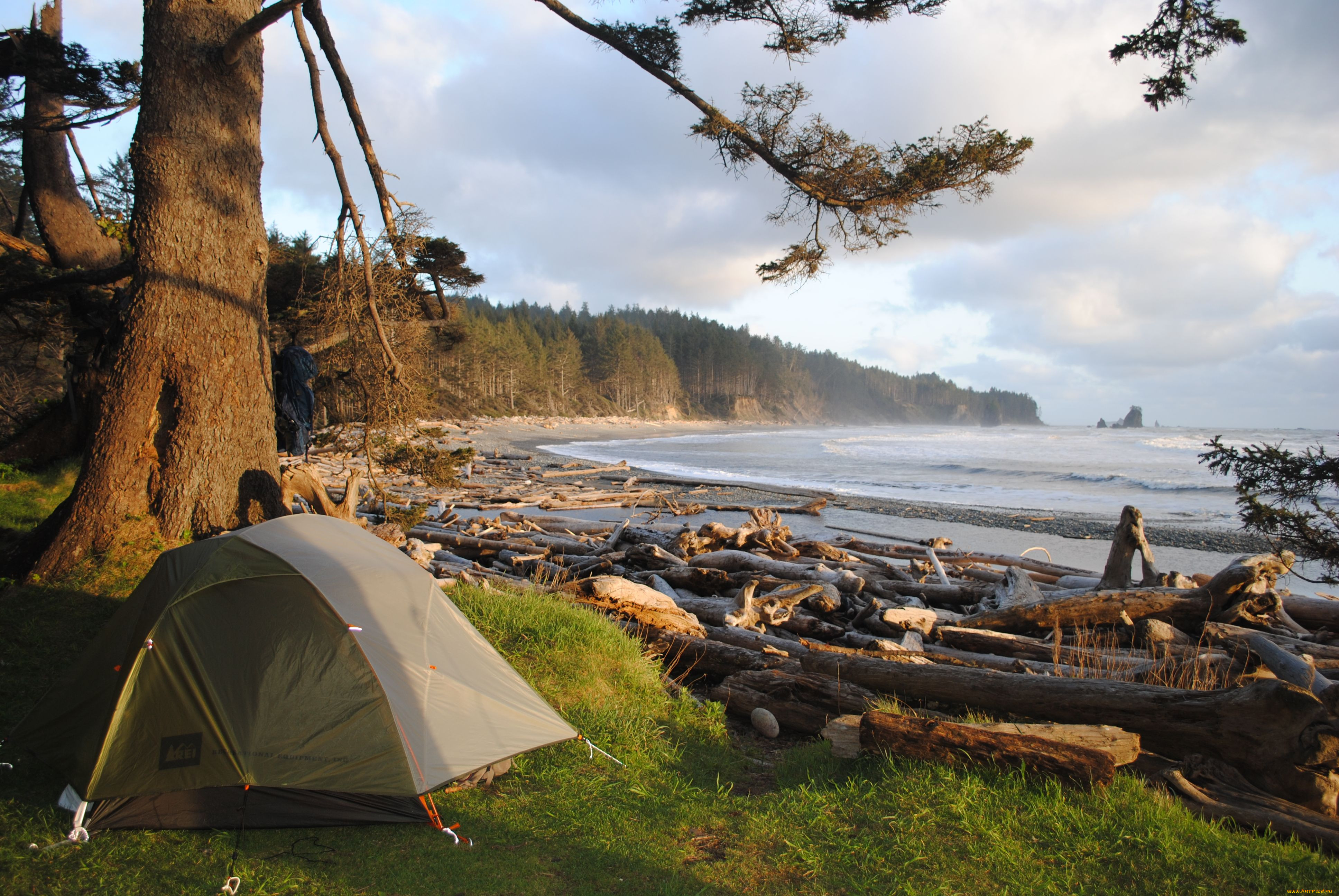 olympic, national, park, , , , 